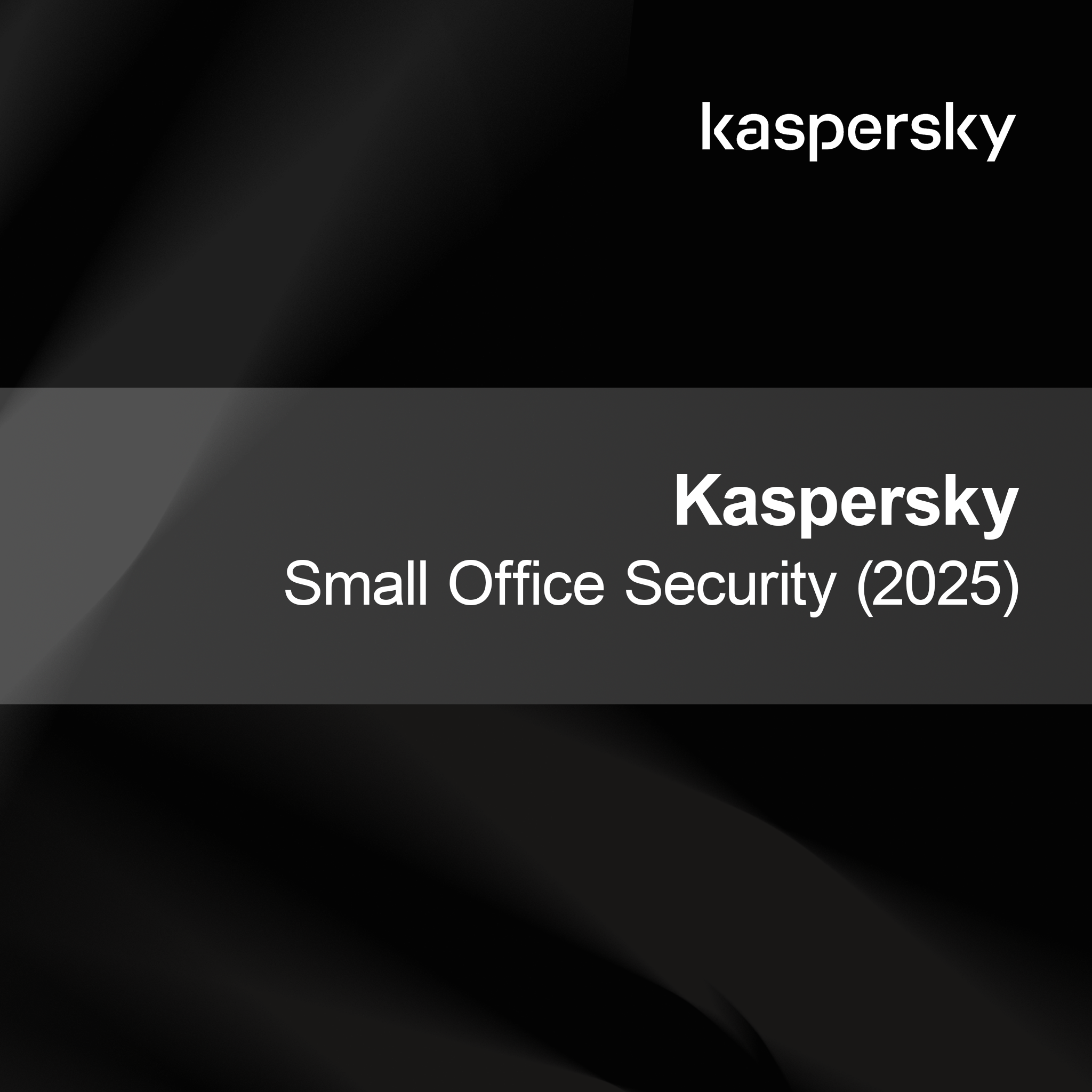 Kaspersky Small Office Security (2025)